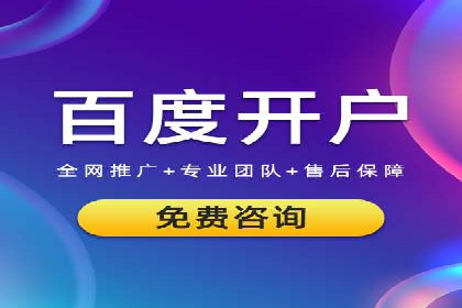 Sem优化公司成功案例：转化率提升之道
