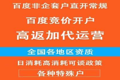 百度竞价公司与品牌合作：双赢的案例分析